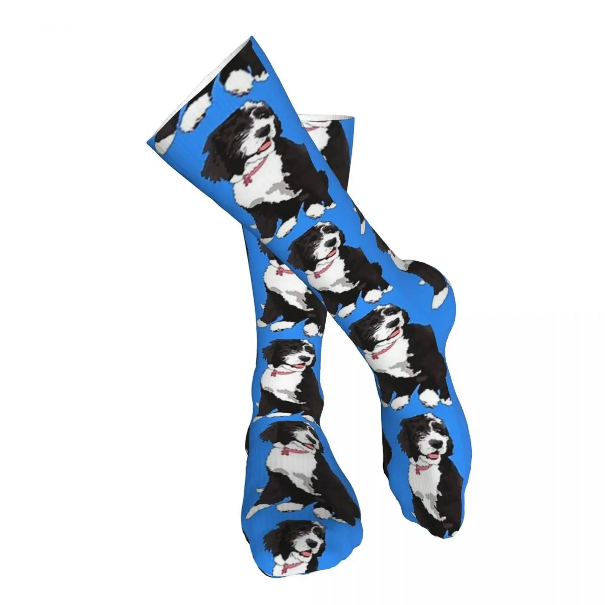 Cute Bernedoodle Adult Stockings Not Easy to Pilling For Daily Matching soft Bright Colours
Cute Bernedoodle Adult Stockings Not Easy to Pilling For Daily Matching soft Bright Colours