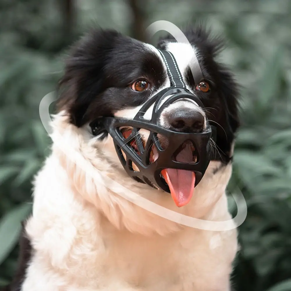 Black Adjustable Comfy Anti-Bite Anti-Eat Breathable Basket Muzzles Pet Dog Muzzle Anti-Lick
Black Adjustable Comfy Anti-Bite Anti-Eat Breathable Basket Muzzles Pet Dog Muzzle Anti-Lick