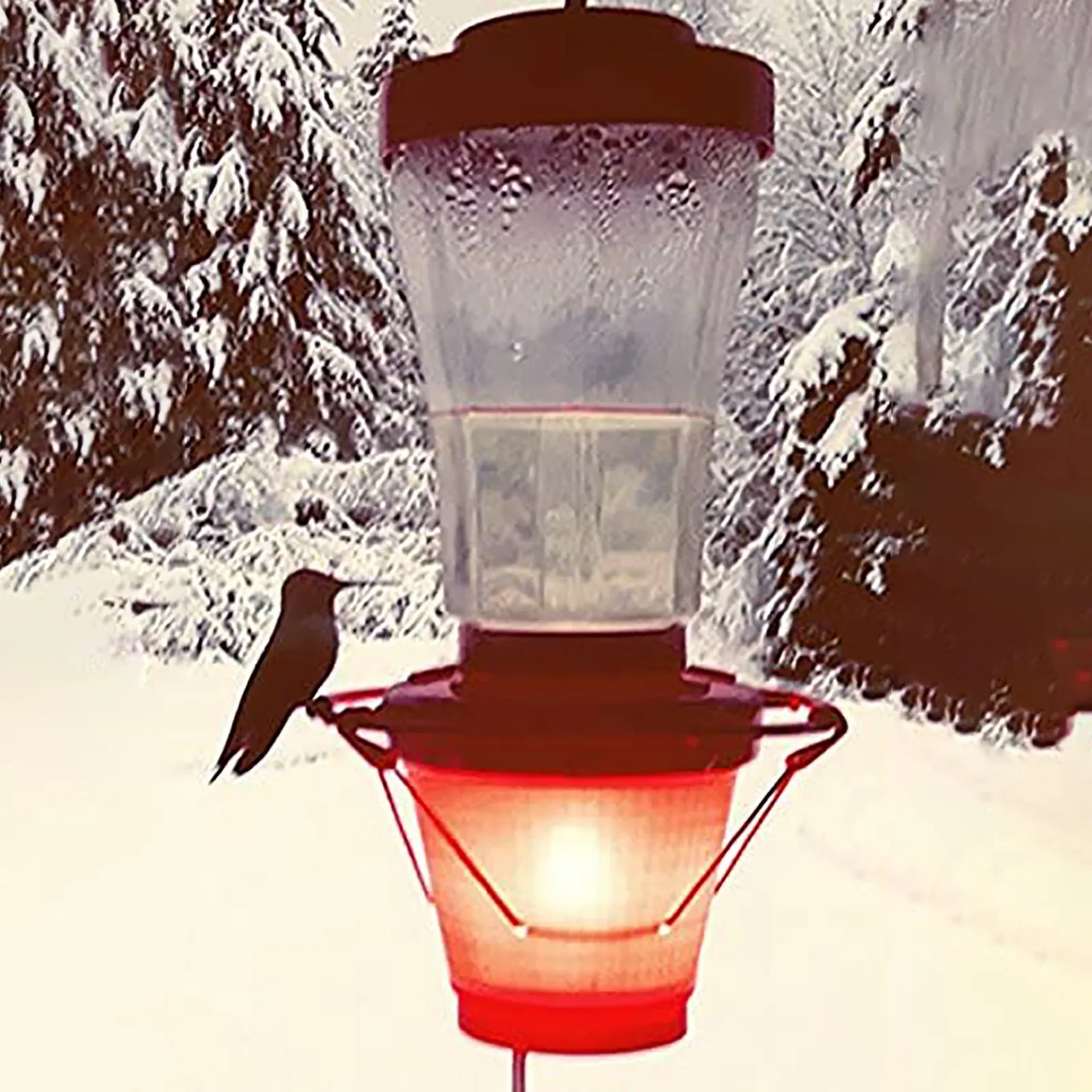 Flowers Shape Backyard Bird Centre Hummer Hearth Hummingbird Feeder Heater Feeder Not Included T3
Flowers Shape Backyard Bird Centre Hummer Hearth Hummingbird Feeder Heater Feeder Not Included T3