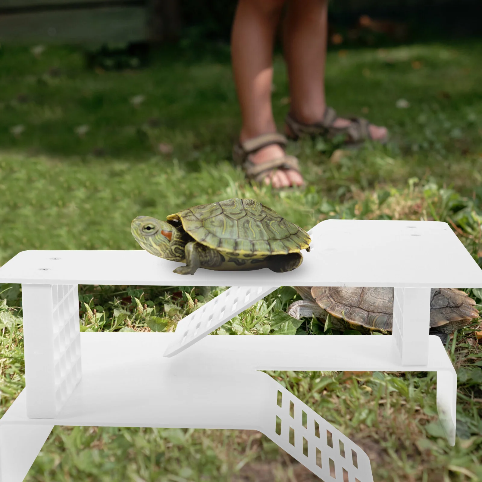 Аксессуары аквариумный ландшафт, аквариумное украшение для рептилий, платформа для подъема черепахи
Аксессуары аквариумный ландшафт, аквариумное украшение для рептилий, платформа для подъема черепахи