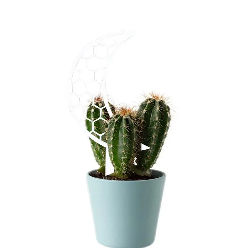 Indoor Trellis Indoor Trellis Crescent Shape Design Small Trellis For Potted Plants Great Stability Climbing Support Stake
Indoor Trellis Indoor Trellis Crescent Shape Design Small Trellis For Potted Plants Great Stability Climbing Support Stake