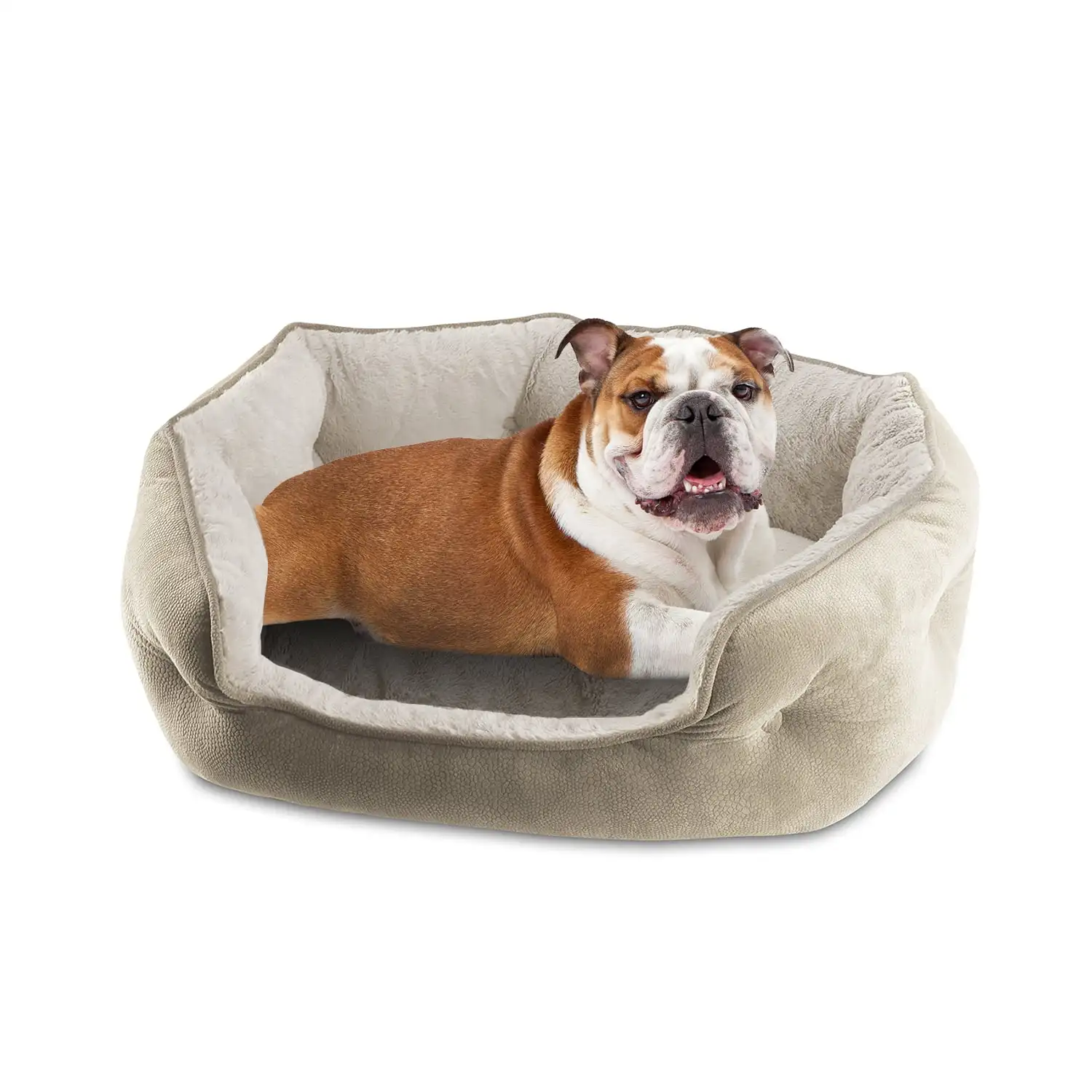Arlee Cozy Oval Round Cuddler Pet Dog Bed - Memory Foam - Chew Resistant - Medium/Large (choose your color)
Arlee Cozy Oval Round Cuddler Pet Dog Bed - Memory Foam - Chew Resistant - Medium/Large (choose your color)