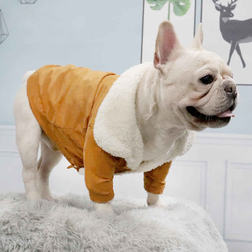 New Autumn and Winter Designer Dog Clothes, Lamb Wool Warmth Luxury Puppy Clothes Cat Pet Clothing
New Autumn and Winter Designer Dog Clothes, Lamb Wool Warmth Luxury Puppy Clothes Cat Pet Clothing
