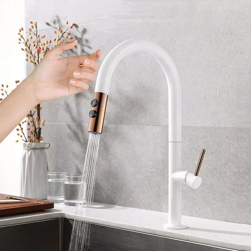 Chrome Senor Kitchen Faucet Cold and Hot Touch Kitchen Mixer Pull Out Two Function Deck Mounted Tap With Free Hose
Chrome Senor Kitchen Faucet Cold and Hot Touch Kitchen Mixer Pull Out Two Function Deck Mounted Tap With Free Hose