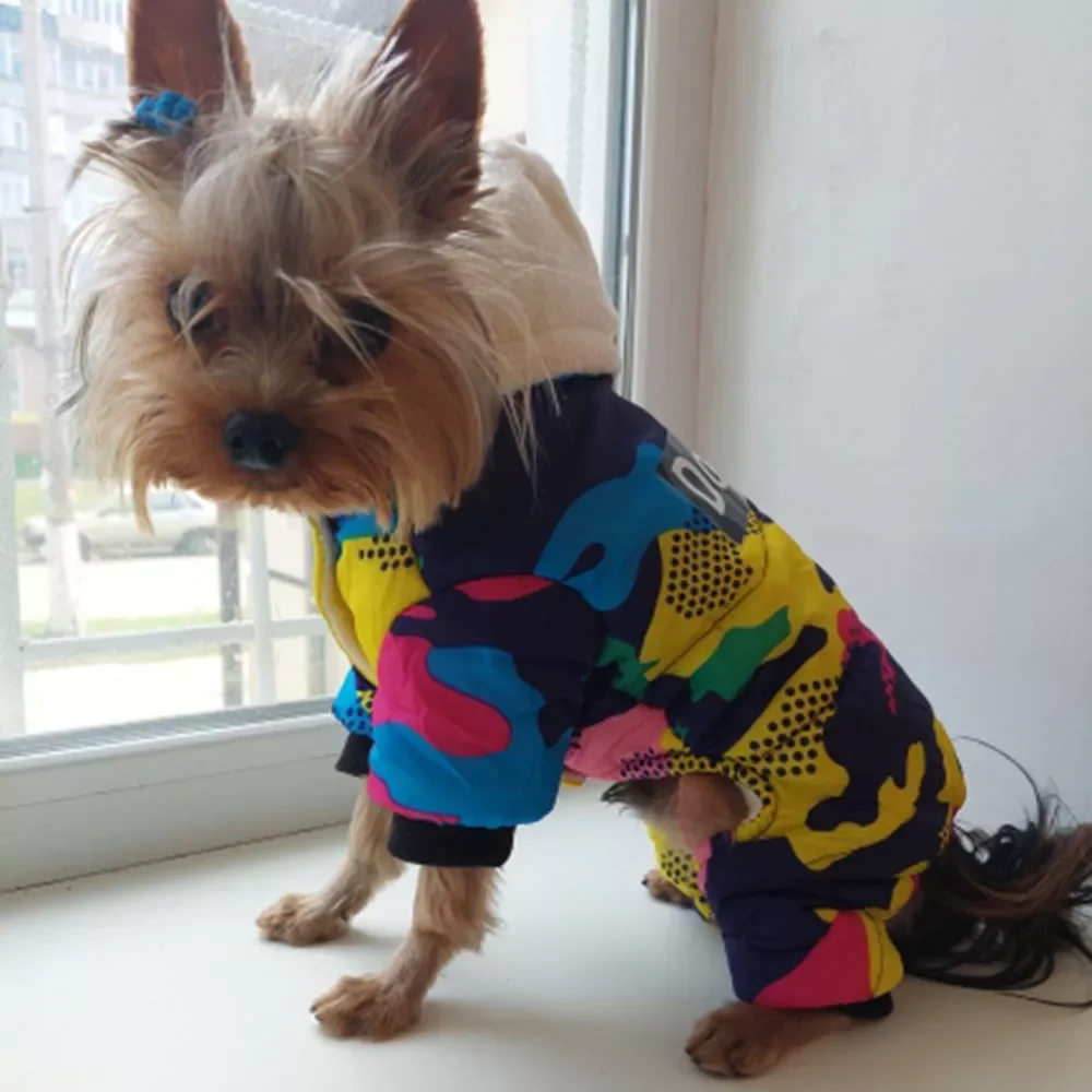 NEW2023 Winter Small Dog Clothes Puppy Dog Down Coat Parkas Fashion Camouflage Printed Pet Puppy Ski Suit Dog Cotton Jacket Out
NEW2023 Winter Small Dog Clothes Puppy Dog Down Coat Parkas Fashion Camouflage Printed Pet Puppy Ski Suit Dog Cotton Jacket Out