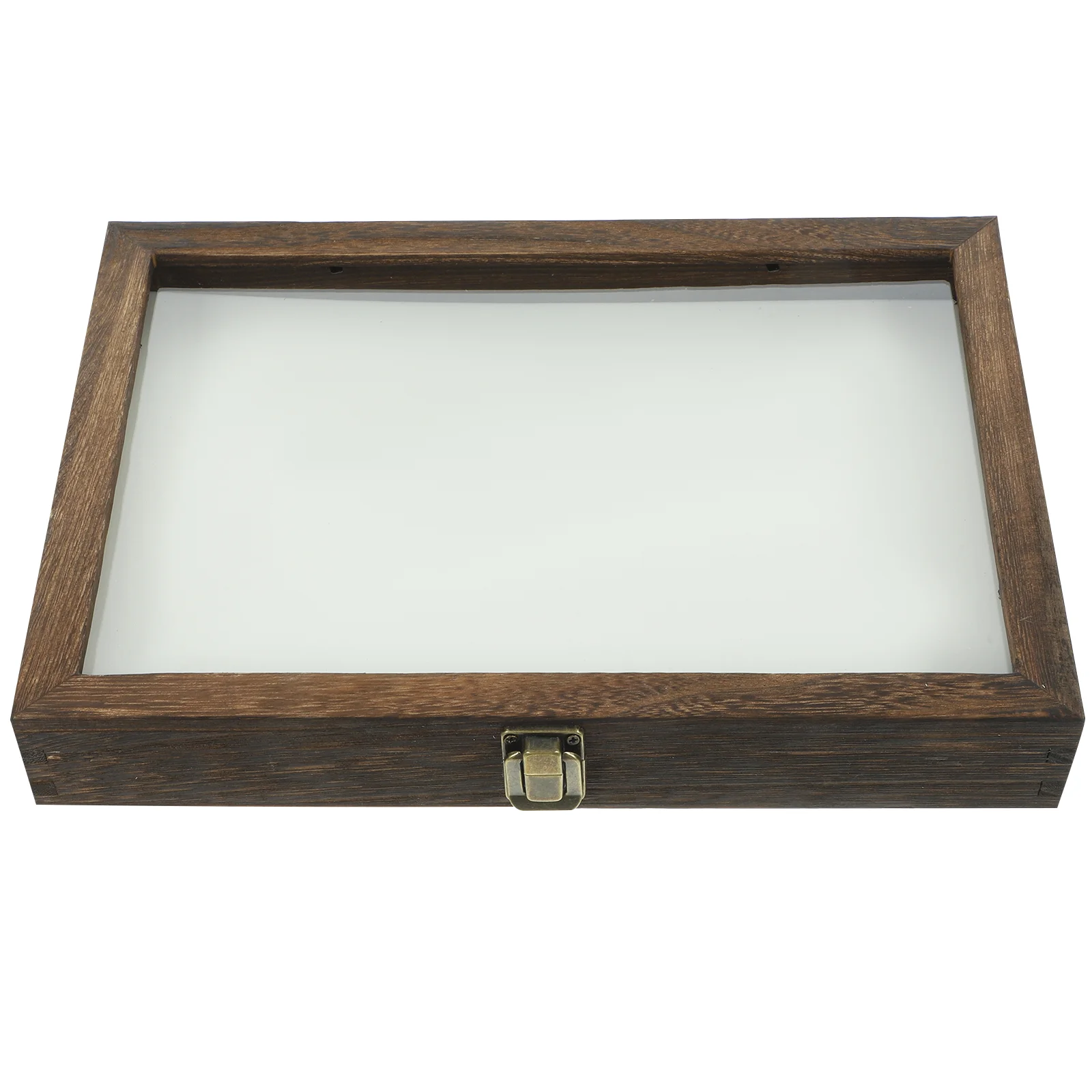 1 Set Vintage Specimen Display Case Plant Specimen Box Specimen Container with Mat
1 Set Vintage Specimen Display Case Plant Specimen Box Specimen Container with Mat