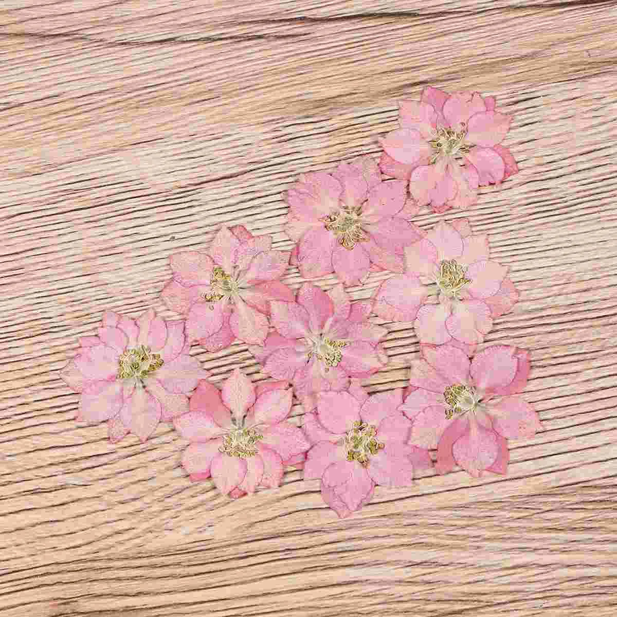 Nail Driedflower Flowersdiy Pressed Decoration Pendant Jewelrycrafts Decors Floral Supplies Handicrafts Design Material Natural
Nail Driedflower Flowersdiy Pressed Decoration Pendant Jewelrycrafts Decors Floral Supplies Handicrafts Design Material Natural