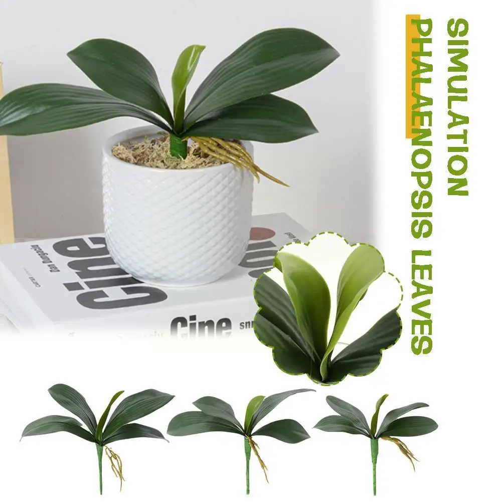 

Simulation Phalaenopsis Leaves Soft Glue Artificial Plastic Leaves Grass Orchid Decoration Home Plants Wedding Flowers Fest V9B0