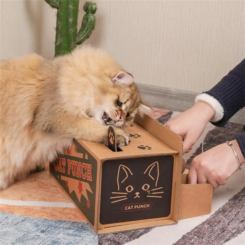 Treat Exercise Training Cat Toy Lightweight Multi-hole For Cats Treat Exercise Training Funny Diy Pet Supplies Corrugated Paper
Treat Exercise Training Cat Toy Lightweight Multi-hole For Cats Treat Exercise Training Funny Diy Pet Supplies Corrugated Paper