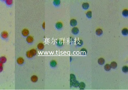 Цветные латексные/полистироловые микросферы/монодисперсные разноцветные сферы PS/0,1-10 мкм
Цветные латексные/полистироловые микросферы/монодисперсные разноцветные сферы PS/0,1-10 мкм