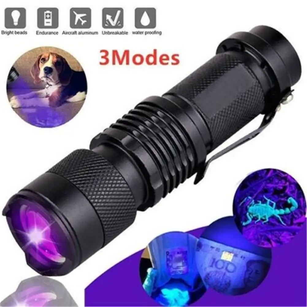 1 Pcs Led Flashlight Magnified Ultraviolet Beam Animal Urine Stains Testing Purple Light Lamp
1 Pcs Led Flashlight Magnified Ultraviolet Beam Animal Urine Stains Testing Purple Light Lamp