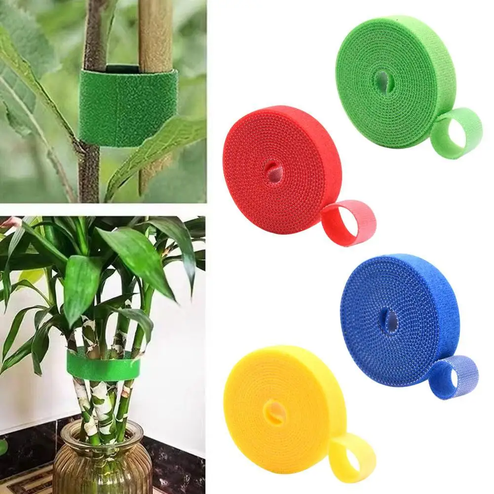15mm Reusable Nylon Cable Ties Double Side Gardening Plants Management Straps Garden Adhesive Fastener Tapes For Flowers
15mm Reusable Nylon Cable Ties Double Side Gardening Plants Management Straps Garden Adhesive Fastener Tapes For Flowers