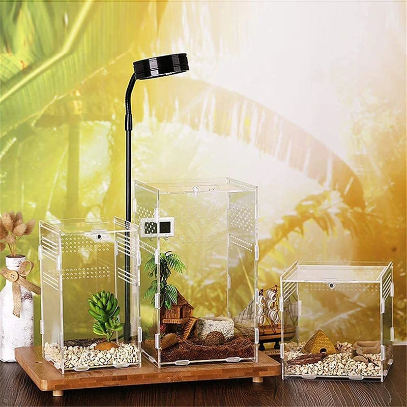 Reptile Feeding Box Transparent Acrylic Reptile Breeding Box Breeding Case For Spide Scorpion Centipede Horned Frog Beetle
Reptile Feeding Box Transparent Acrylic Reptile Breeding Box Breeding Case For Spide Scorpion Centipede Horned Frog Beetle