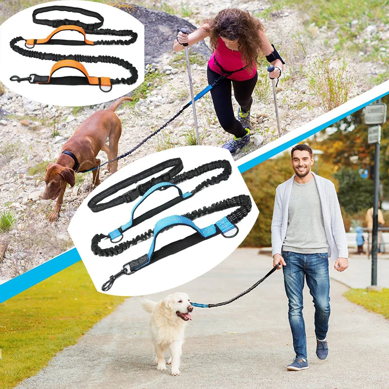 Strong Nylon Dog Leash Labrador Bulldog Harness Ropes Double Elastic Reflective Leash Training Safety Dog Leashes 160-260cm
Strong Nylon Dog Leash Labrador Bulldog Harness Ropes Double Elastic Reflective Leash Training Safety Dog Leashes 160-260cm