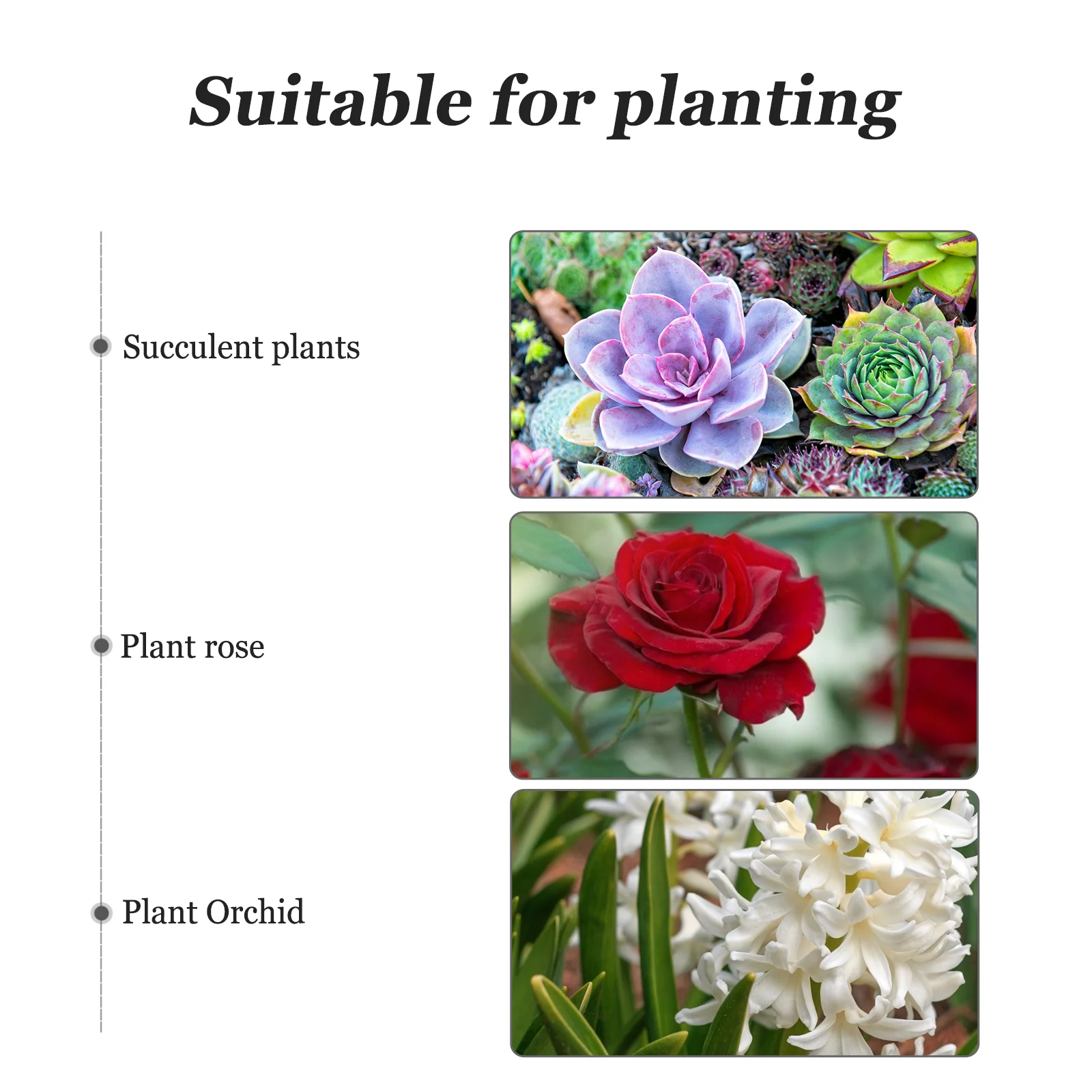 8 Sets Plastic Flower Pot Small Containers Starting Trays Starter Pots Planting Nursery Pans Simple Planter Masks
8 Sets Plastic Flower Pot Small Containers Starting Trays Starter Pots Planting Nursery Pans Simple Planter Masks