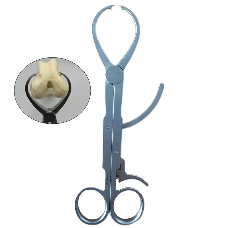 Veterinary Orthopedic Instrument Orthopedic Surgery Stainless Steel Limited Reduction Forceps
Veterinary Orthopedic Instrument Orthopedic Surgery Stainless Steel Limited Reduction Forceps