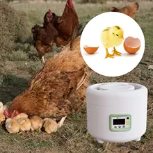Multipurpose 9 Eggs Incubator LED Display Water Bed Poultry Hatching Machine Poultry Hatcher for Quail Duck Farm Hatchery Tools