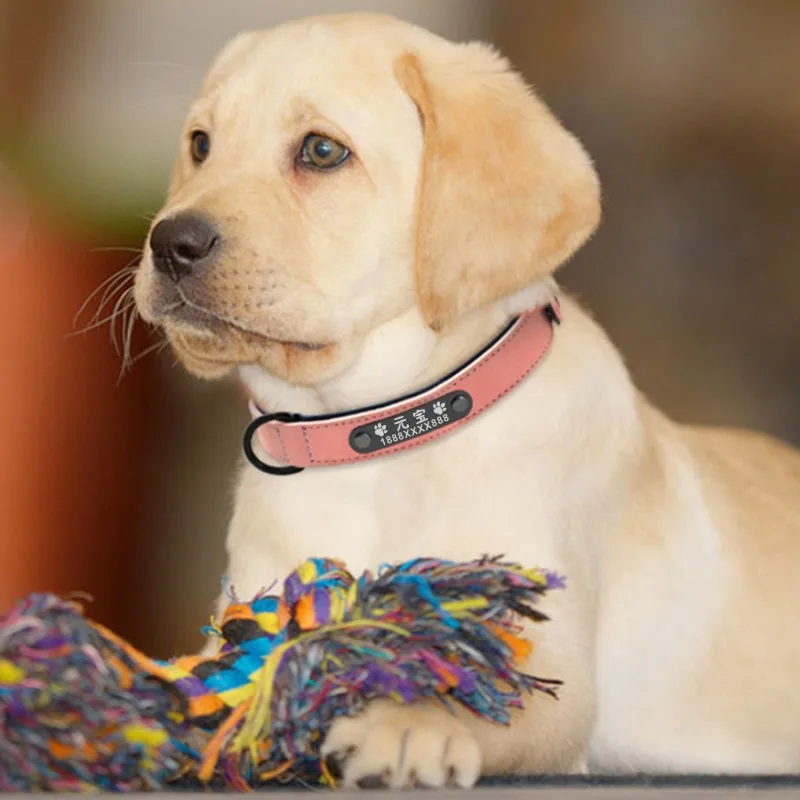 Pet Lettering Anti-lost Leather Collar Ingot Adjustable Customized Big Small Dog Training Collar Animals Supplies Accessories
Pet Lettering Anti-lost Leather Collar Ingot Adjustable Customized Big Small Dog Training Collar Animals Supplies Accessories