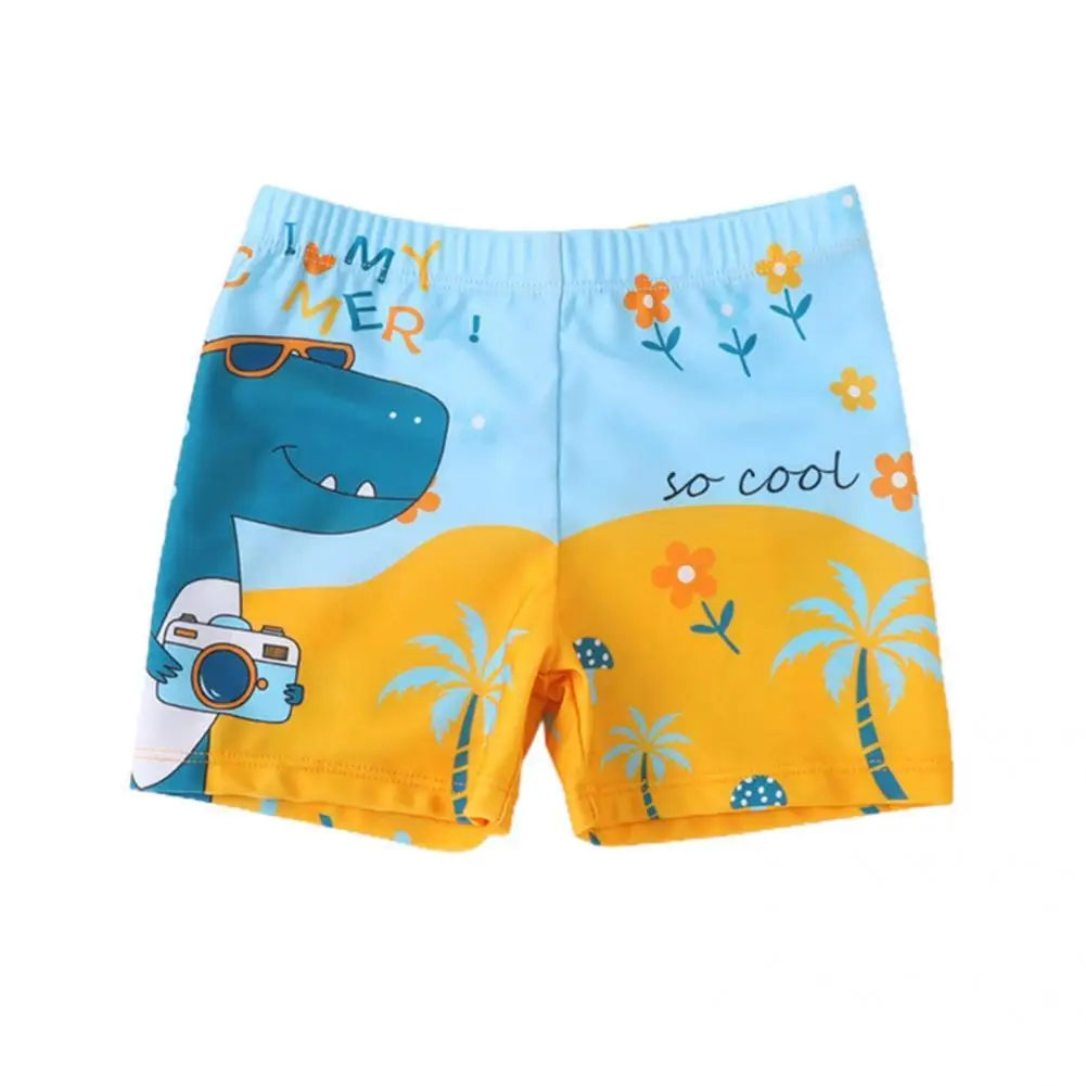 Lightweight Useful Adjustable Waist Boy Swimming Trunks Good Moisture Absorption for Beach
Lightweight Useful Adjustable Waist Boy Swimming Trunks Good Moisture Absorption for Beach