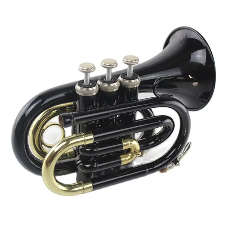 Высококачественная карманная труба Bb B-flat, инструмент для ладони с твердым искусственным светом, мундштук, ткань и перчатки, черный лак с
Высококачественная карманная труба Bb B-flat, инструмент для ладони с твердым искусственным светом, мундштук, ткань и перчатки, черный лак с