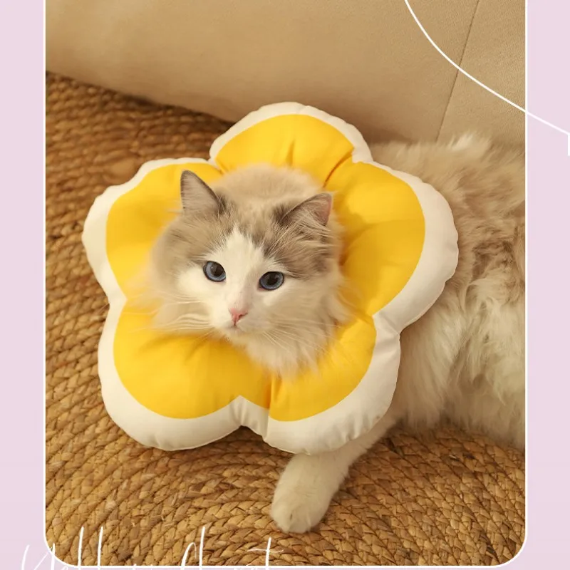 Elisabeth Circle Anti-licking Ointment Poached Circle Anti-scratch Pet Protective Cover Cat Accessorie Cat Collar Personalized
Elisabeth Circle Anti-licking Ointment Poached Circle Anti-scratch Pet Protective Cover Cat Accessorie Cat Collar Personalized