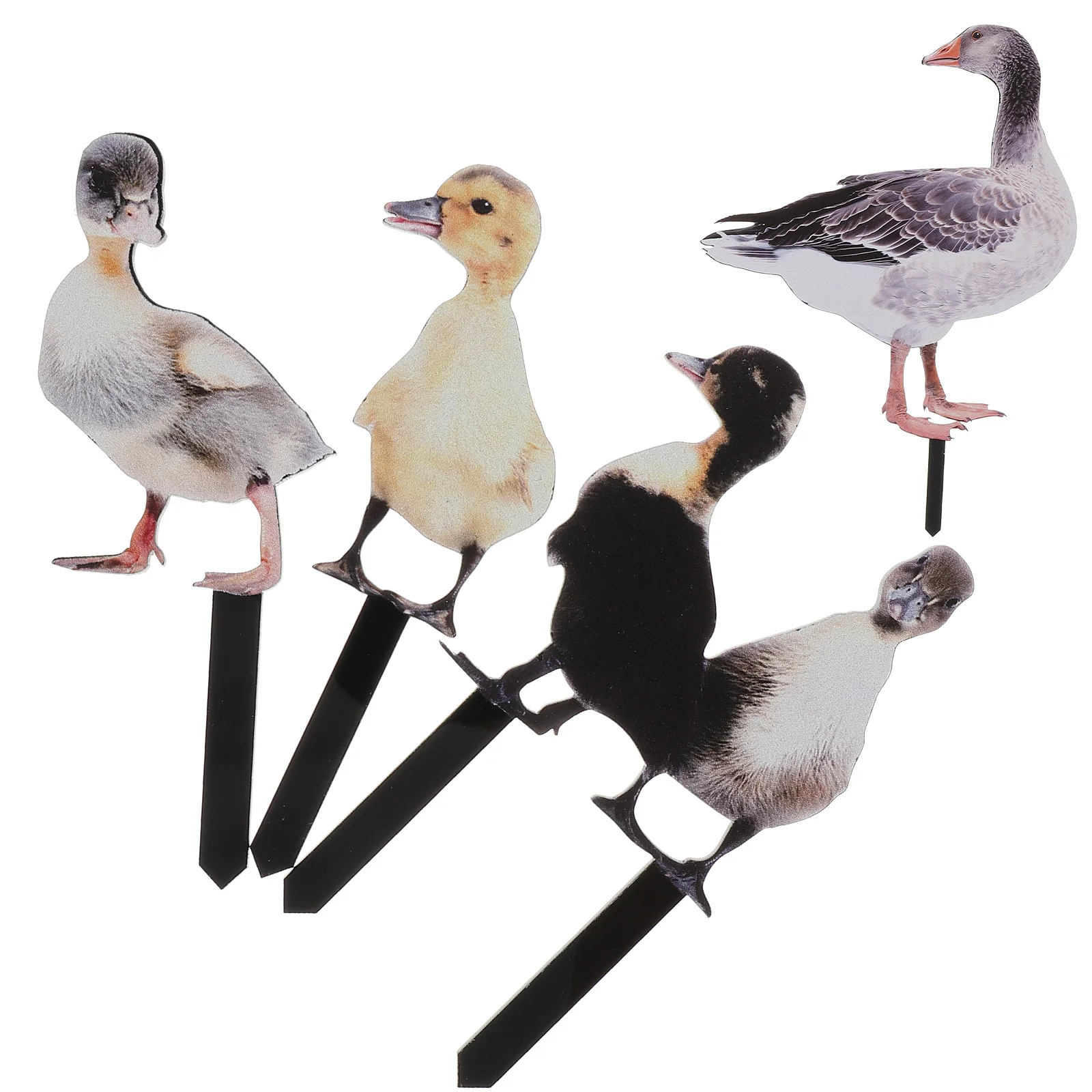 Yard Sign Outdoor Adornment Garden Stakes Accessories Decor Ornament Lawn Decoration Acrylic Silhouette
Yard Sign Outdoor Adornment Garden Stakes Accessories Decor Ornament Lawn Decoration Acrylic Silhouette