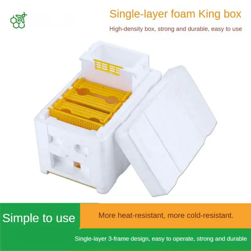 Set Queen Bee Rearing Mating Beehive Beekeeping Tools Foam Beehives Nuc Harvest Pollination BeesHive Box Beekeeper Suppliers
Set Queen Bee Rearing Mating Beehive Beekeeping Tools Foam Beehives Nuc Harvest Pollination BeesHive Box Beekeeper Suppliers