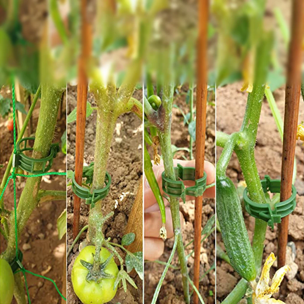 100pcs Vegetable Clips Plastic Greenhouse Tomato Vegetable Buckle Fixing Binding Clip Plastic Plant Vine Ties Supports Clip
100pcs Vegetable Clips Plastic Greenhouse Tomato Vegetable Buckle Fixing Binding Clip Plastic Plant Vine Ties Supports Clip