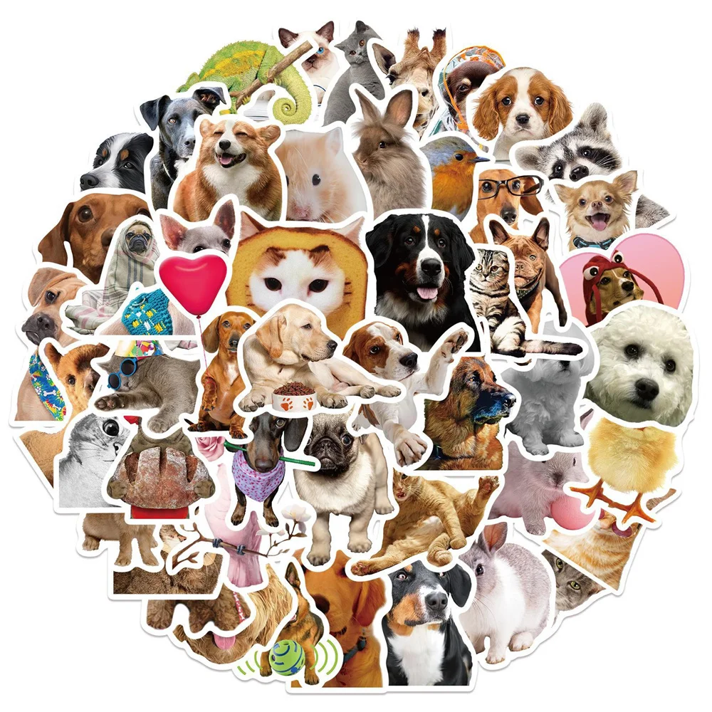 10/30/50 шт., водонепроницаемые наклейки в виде животных
10/30/50 шт., водонепроницаемые наклейки в виде животных