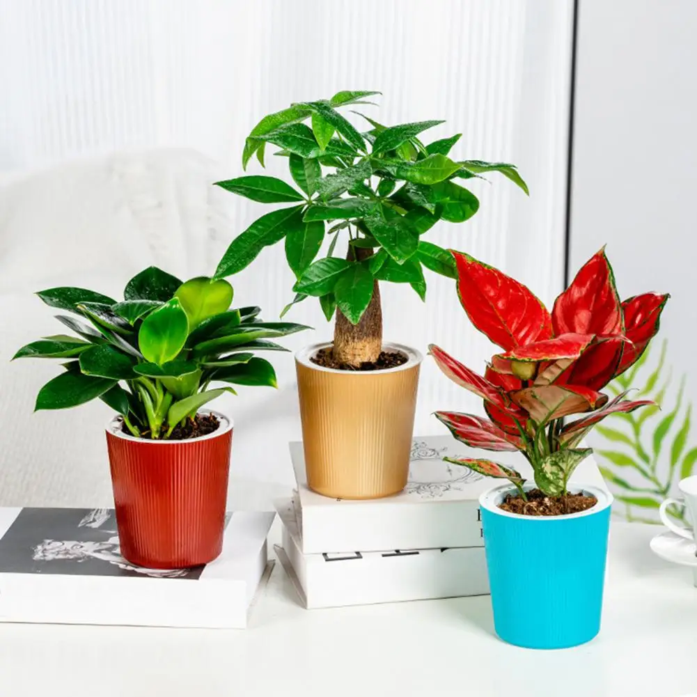 Flower Pot Thickened Self-absorption Prevent Soil Knotting Corrosion Resistance Color Cup Plant Flower Pot Yard Accessories 
Flower Pot Thickened Self-absorption Prevent Soil Knotting Corrosion Resistance Color Cup Plant Flower Pot Yard Accessories