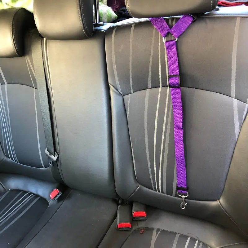 Seat Lead Belt Leash Car Pet Nylon Two-in-one Color Dogs Backseat Accessories Solid Adjustable Safety Pet Belt Harness Collar
Seat Lead Belt Leash Car Pet Nylon Two-in-one Color Dogs Backseat Accessories Solid Adjustable Safety Pet Belt Harness Collar