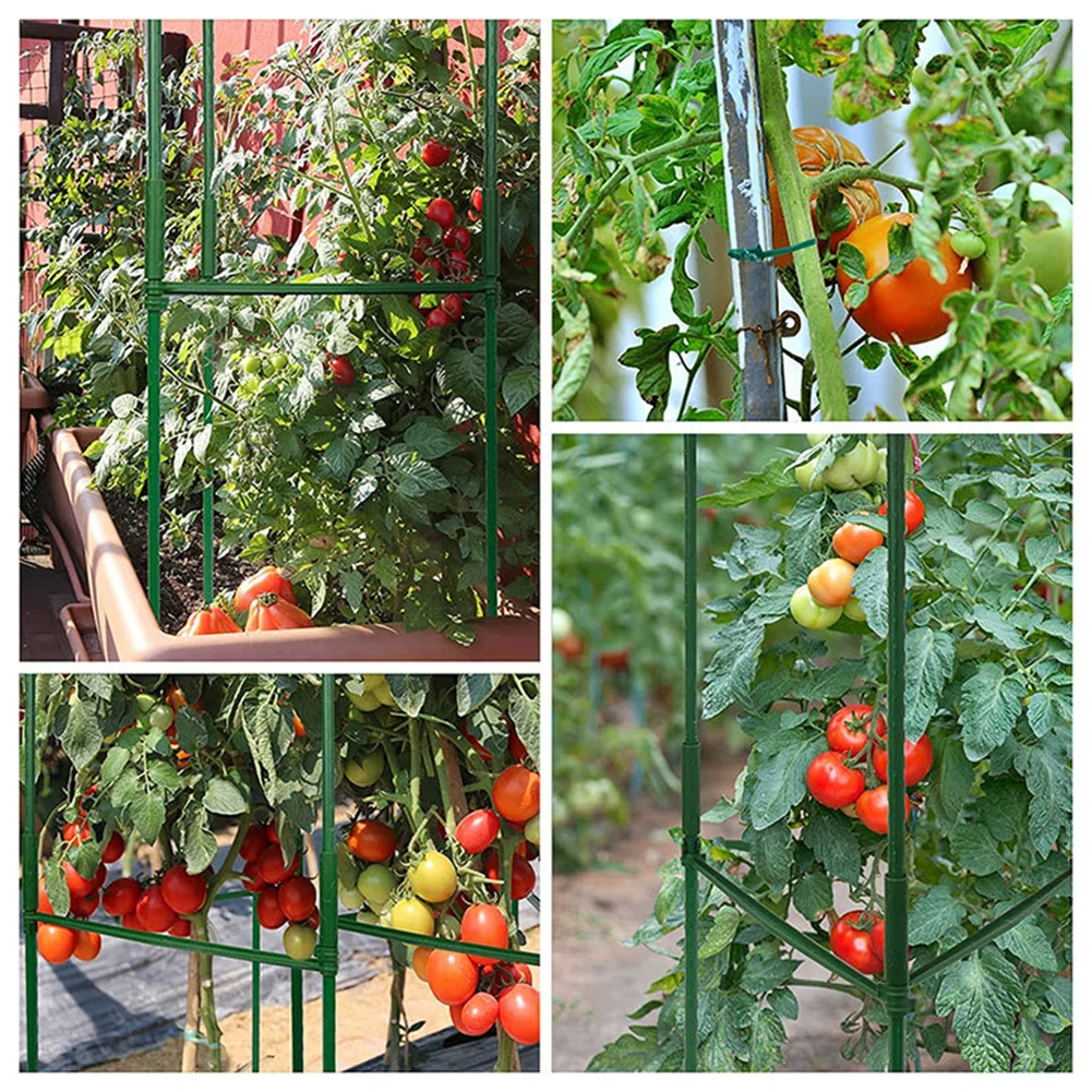 3Pc Customizable Design Tomato Support Large Tomato Cage Adjustable Green SturdyPlant Support Stake For Climbing Plants
3Pc Customizable Design Tomato Support Large Tomato Cage Adjustable Green SturdyPlant Support Stake For Climbing Plants