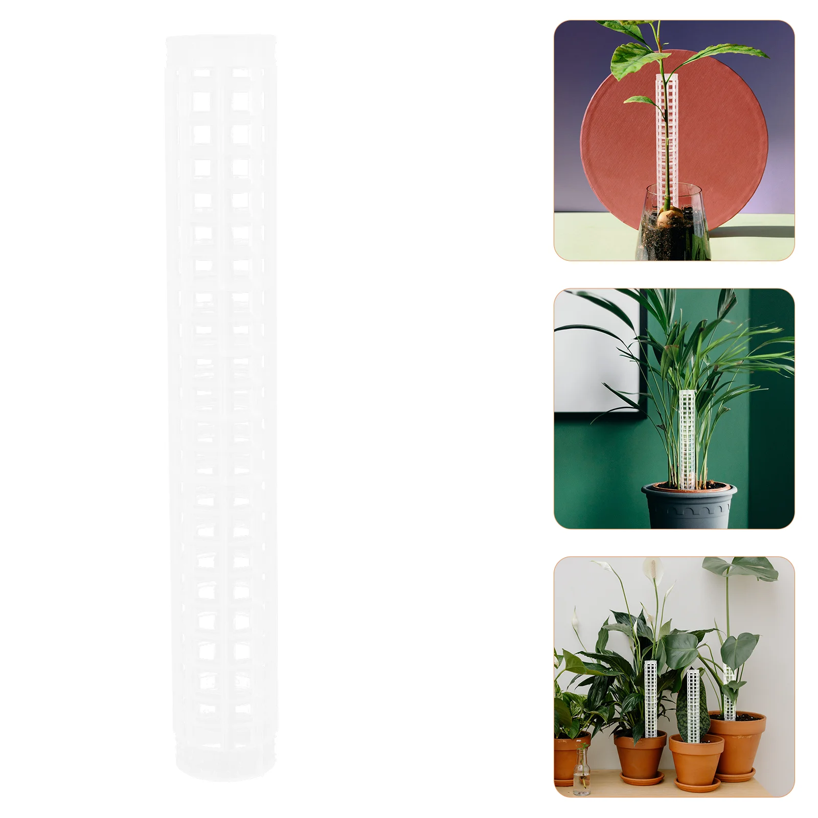 4pcs Plant Climbing Column Garden Plastic Column Water Moss Column Moss Pole
4pcs Plant Climbing Column Garden Plastic Column Water Moss Column Moss Pole