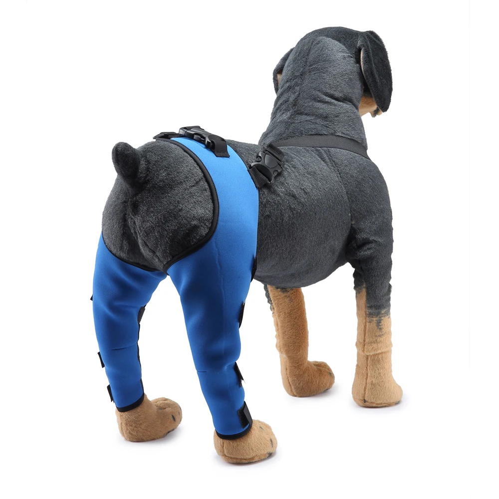 New Pet Knee Pad with Reflector Strip for Hind Legs Injury Recover Hock Joint Wrap Breathable Dog Legs Protector Holder
New Pet Knee Pad with Reflector Strip for Hind Legs Injury Recover Hock Joint Wrap Breathable Dog Legs Protector Holder