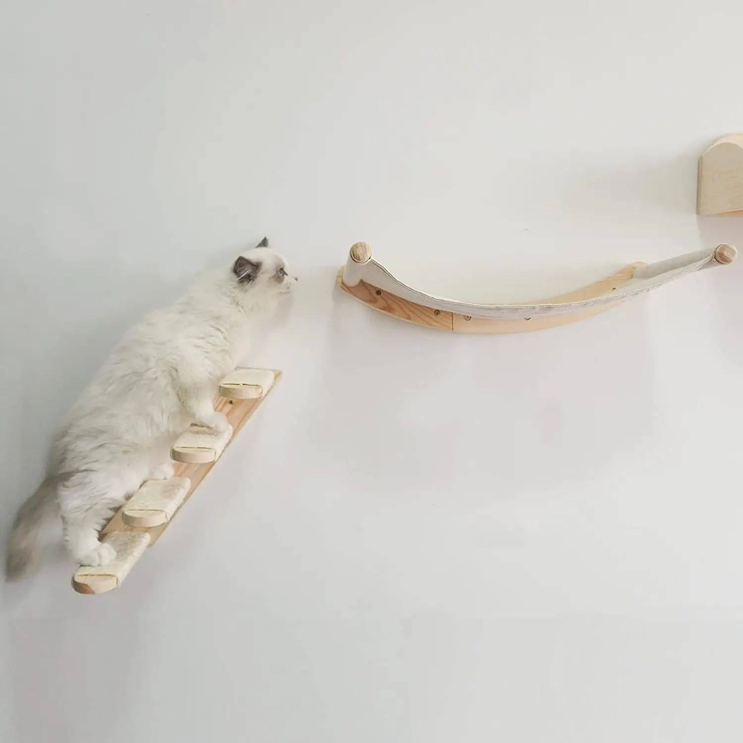 Cat accessories Cat toy Cat supplies Cat tunnel Terrarium heat lamps & mats Dino nuggets pillows Cat nip Cat toys Juguetes para
Cat accessories Cat toy Cat supplies Cat tunnel Terrarium heat lamps & mats Dino nuggets pillows Cat nip Cat toys Juguetes para