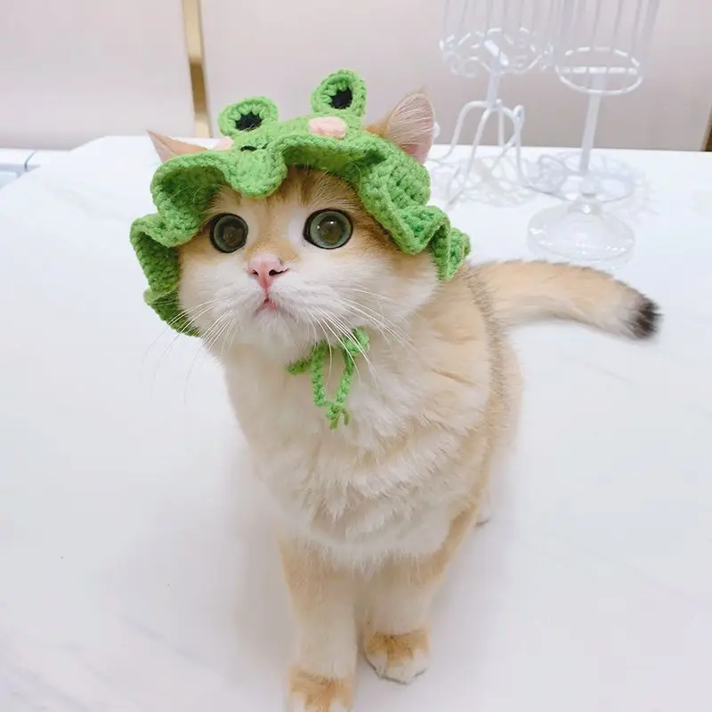 Pet Hat Hand Knitted Lace Dress Up Cat Hat Dog Hat Cute Elegant Hood Pet Supplies Pet Accessories Cat Accessories Hats For Cats
Pet Hat Hand Knitted Lace Dress Up Cat Hat Dog Hat Cute Elegant Hood Pet Supplies Pet Accessories Cat Accessories Hats For Cats