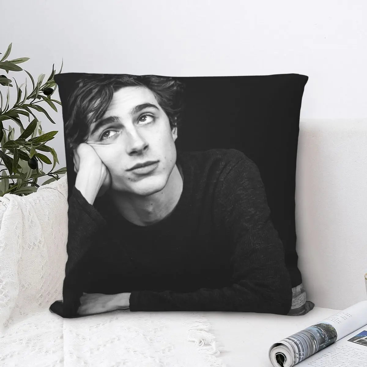 Timothee Chalamet Throw Pillow Polyester Home Decor Pillow Case Home Cushion Cover 45*45cm
Timothee Chalamet Throw Pillow Polyester Home Decor Pillow Case Home Cushion Cover 45*45cm