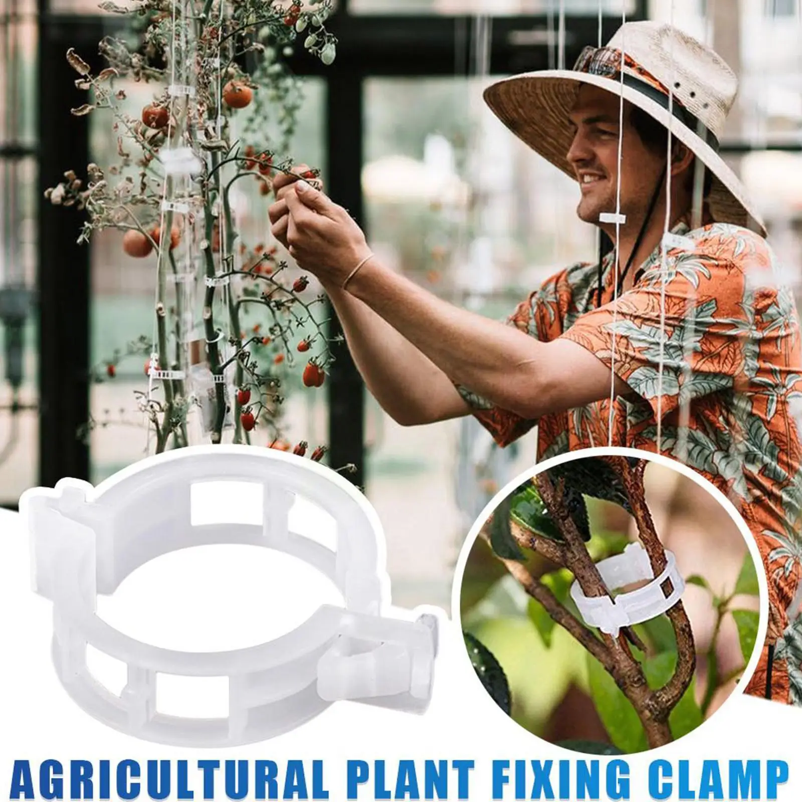 100pcs Garden Clip Set Greenhouse Tomato Stem Support Growth Plant Clamp Plastic Tomato Plants Plant Clip Clips Clip Clamp X4P5
100pcs Garden Clip Set Greenhouse Tomato Stem Support Growth Plant Clamp Plastic Tomato Plants Plant Clip Clips Clip Clamp X4P5