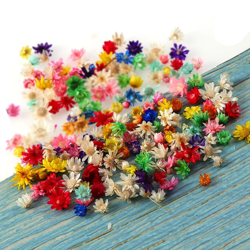 100-200pcs Boxed Decorative Dried Flower Mini Star Bouquet Natural Nail Art Epoxy Resin Filling Home Decoration Set Fake Flowers
100-200pcs Boxed Decorative Dried Flower Mini Star Bouquet Natural Nail Art Epoxy Resin Filling Home Decoration Set Fake Flowers
