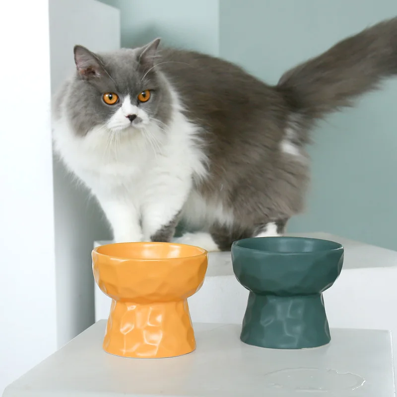 Non-Slip Cat Bowl Pet Feeding Water Bowl For Cats Ceramic Food Pet Bowls On Stand For Dogs Feeder Product Supplies
Non-Slip Cat Bowl Pet Feeding Water Bowl For Cats Ceramic Food Pet Bowls On Stand For Dogs Feeder Product Supplies