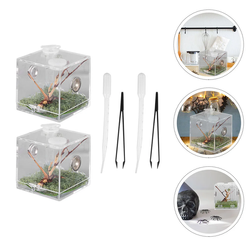 

Small Containers Florida Transparent Jumping Spider Cage Breeding Insect Case Snail Terrarium Reptile Acrylic Holder