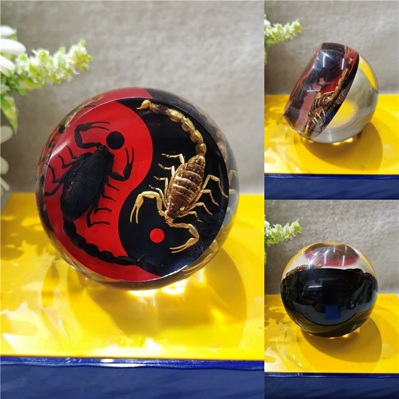 Artificial Amber decoration insect specimen resin ornaments scorpion decorative stone desk furnishing creative home decoration 
Artificial Amber decoration insect specimen resin ornaments scorpion decorative stone desk furnishing creative home decoration