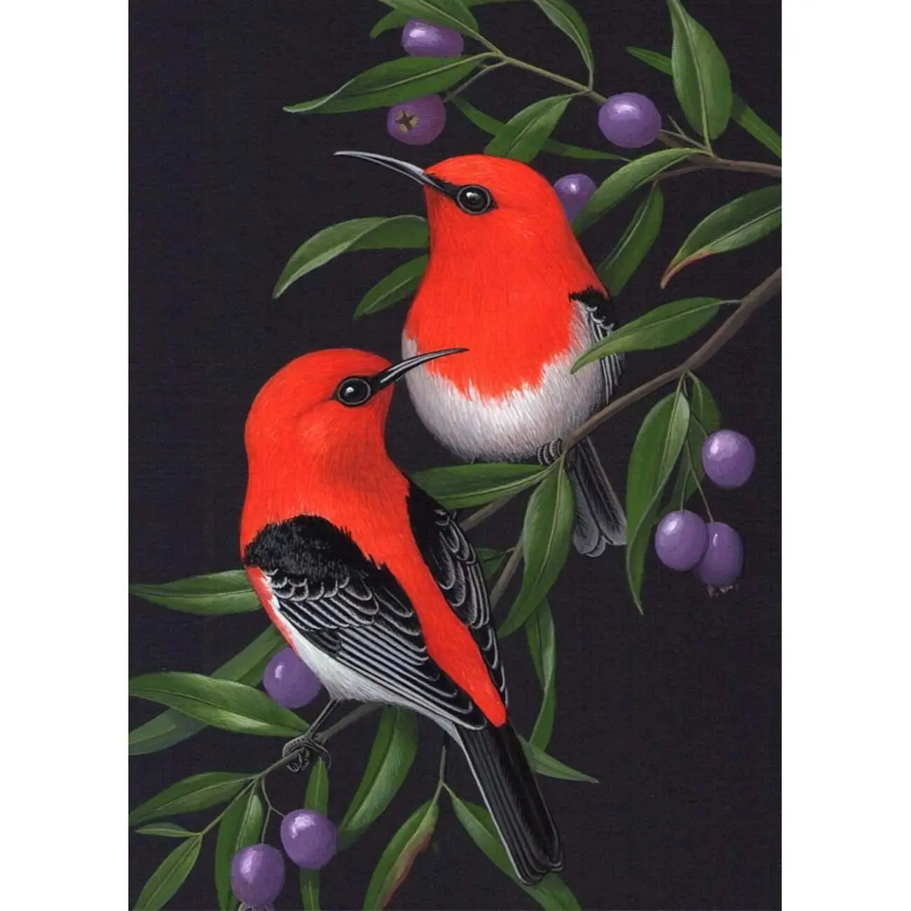 5D Diamond Painting Red and Black Birds Full Drill by Number Kits for Adults, DIY Diamond Set Arts Craft Decorations a1198
5D Diamond Painting Red and Black Birds Full Drill by Number Kits for Adults, DIY Diamond Set Arts Craft Decorations a1198