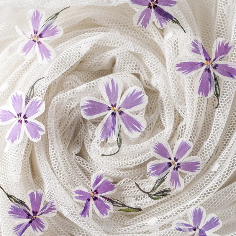 120pcs Pressed Dried Phlox Drummondii Flower Leaf Herbarium Jewelry Postcard Bookmark Frame Phone Case Face Makeup Lamp Card DIY
120pcs Pressed Dried Phlox Drummondii Flower Leaf Herbarium Jewelry Postcard Bookmark Frame Phone Case Face Makeup Lamp Card DIY