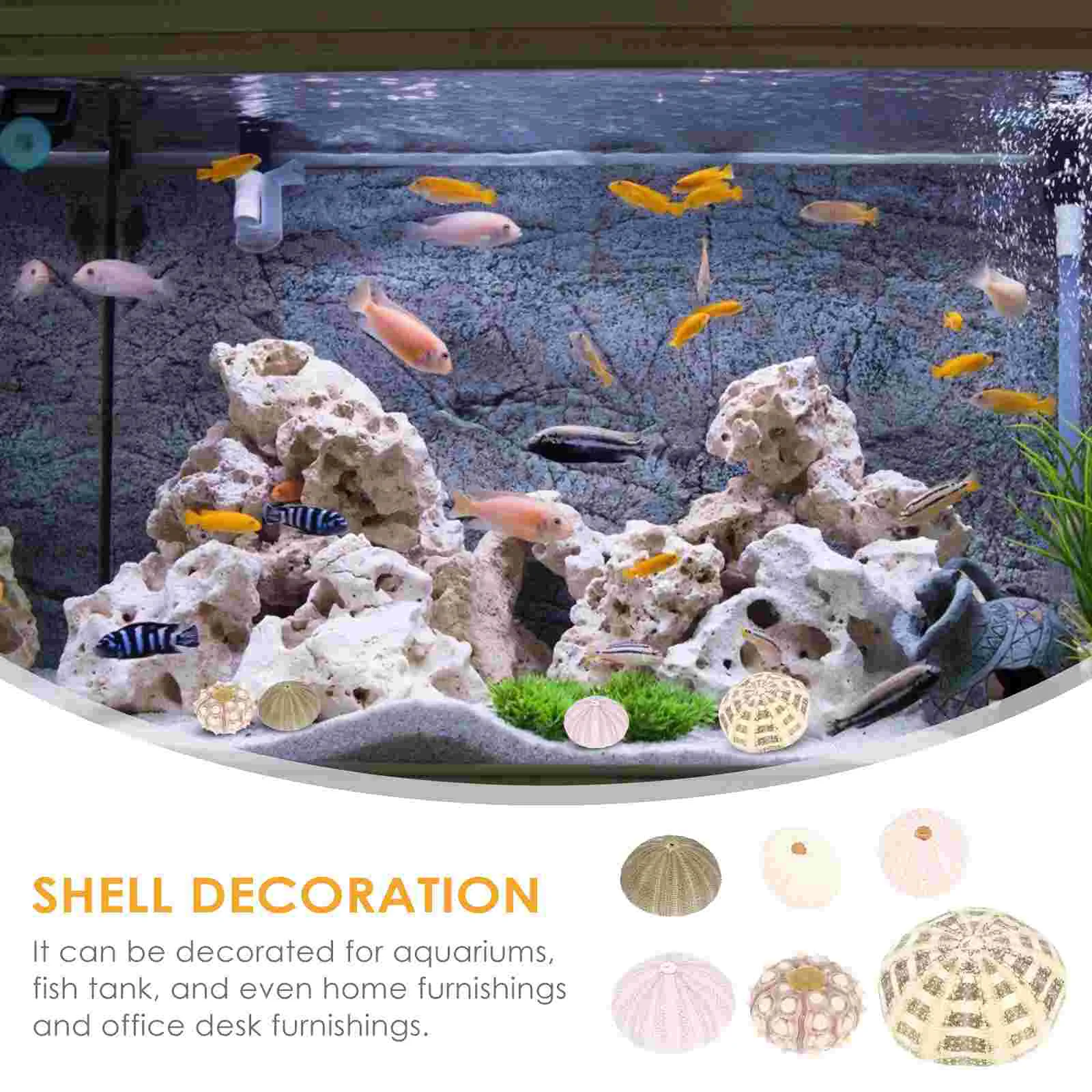 6 Pcs Fish Tank Ornaments Home Accessories Decor Beads Large Green Ornaments Shell Conch Bracket Air Holder
6 Pcs Fish Tank Ornaments Home Accessories Decor Beads Large Green Ornaments Shell Conch Bracket Air Holder