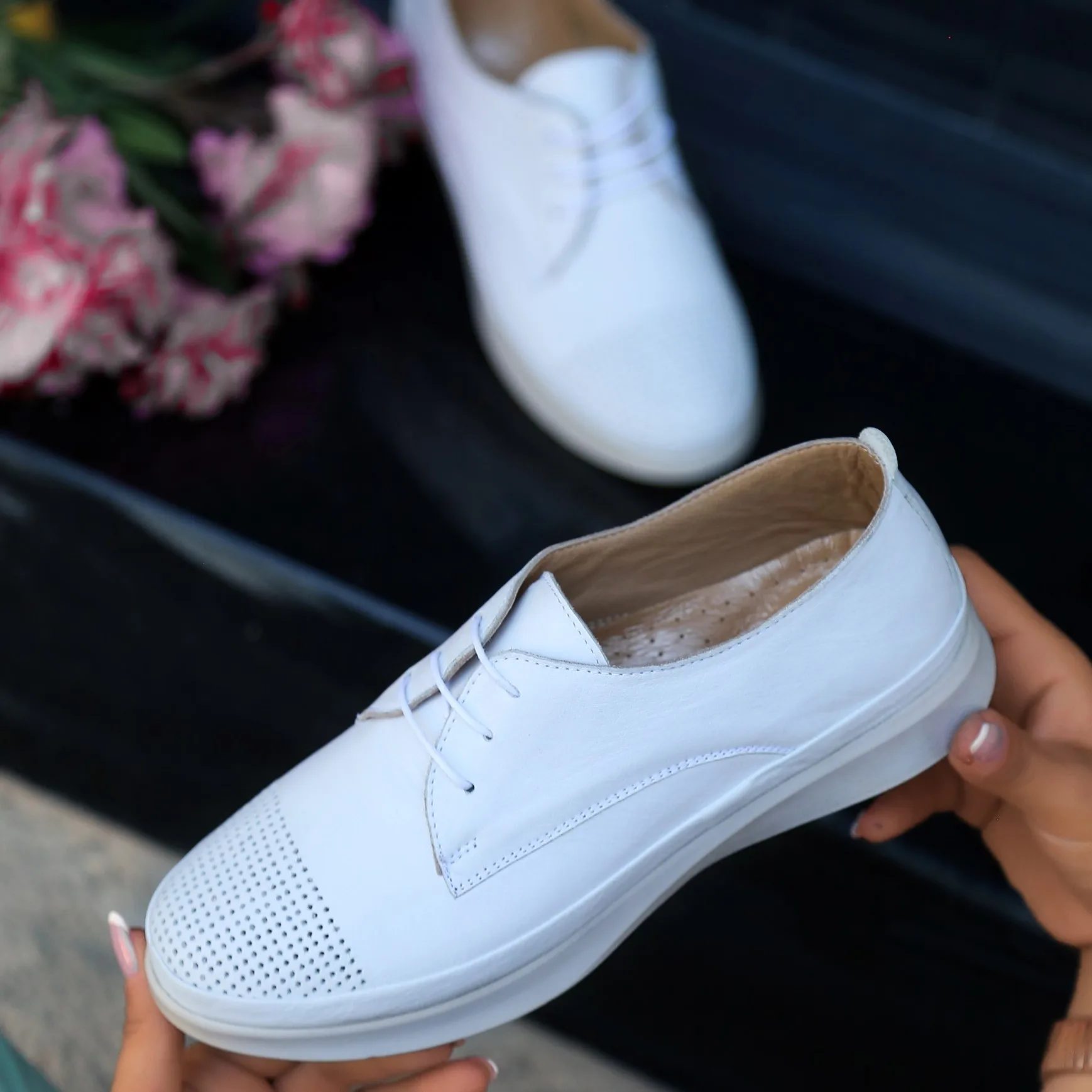 BveA Store
BveA Store