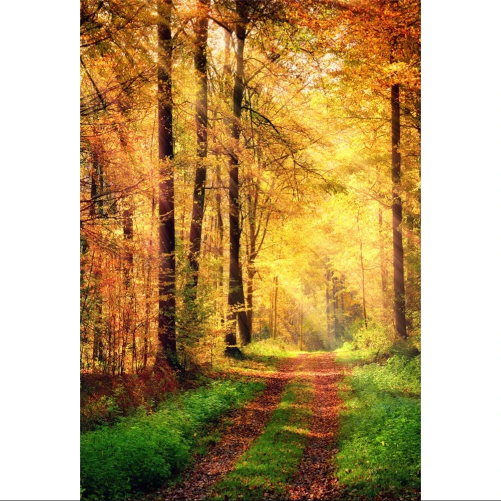 Laeacco Autumn Forest Photography Backdrop Red Maple Trees Sunset Fallen Leaves Narrow Mountain Road Adults Portrait Background
Laeacco Autumn Forest Photography Backdrop Red Maple Trees Sunset Fallen Leaves Narrow Mountain Road Adults Portrait Background