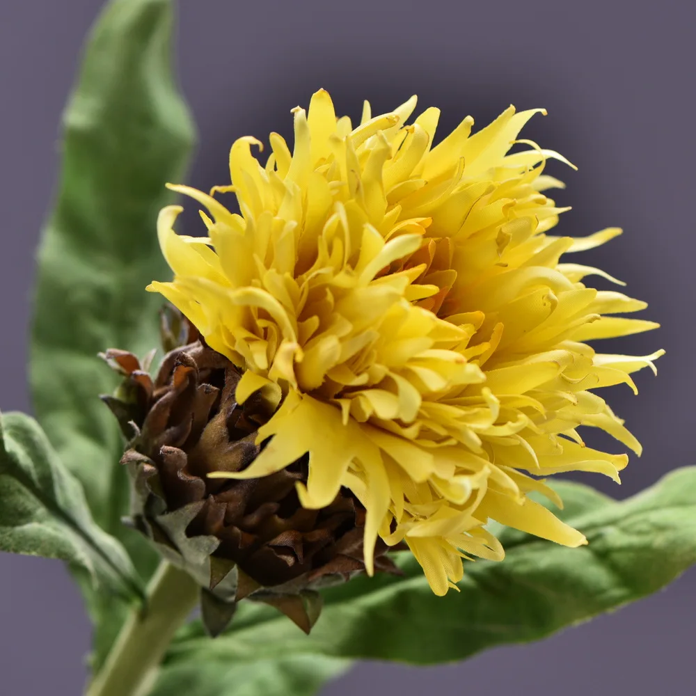 High Quality Single Stem Sunflower Flower Artificial Silk Flowers Daisies Wedding Plant Accessories Room Home Party Decoration
High Quality Single Stem Sunflower Flower Artificial Silk Flowers Daisies Wedding Plant Accessories Room Home Party Decoration