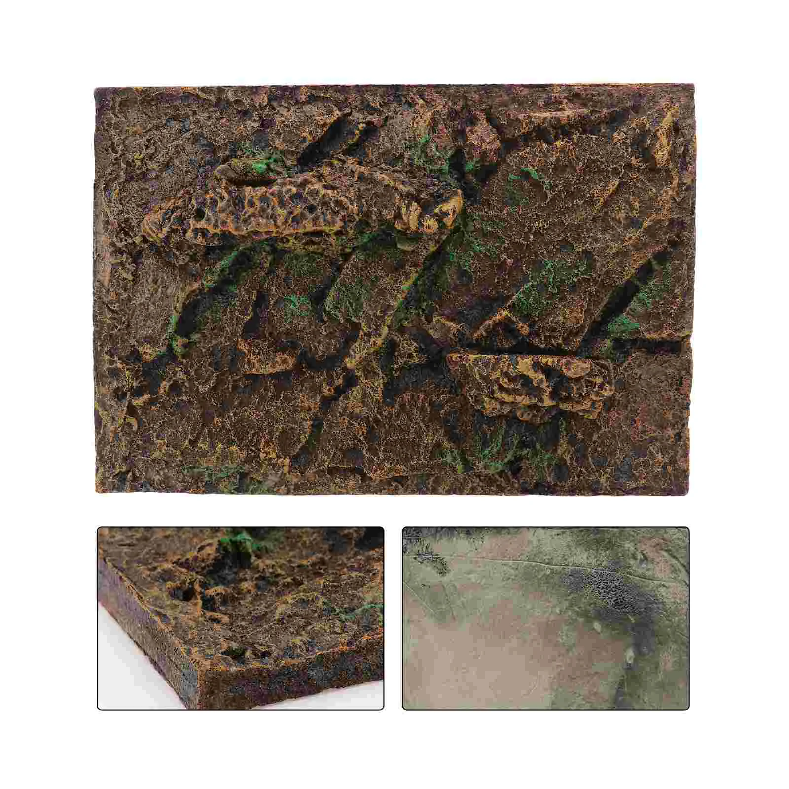 Climbing Pet Box Background Board Simulated Decoration Lifelike Reptile Turtle Tank Landscaping Fish Creative
Climbing Pet Box Background Board Simulated Decoration Lifelike Reptile Turtle Tank Landscaping Fish Creative