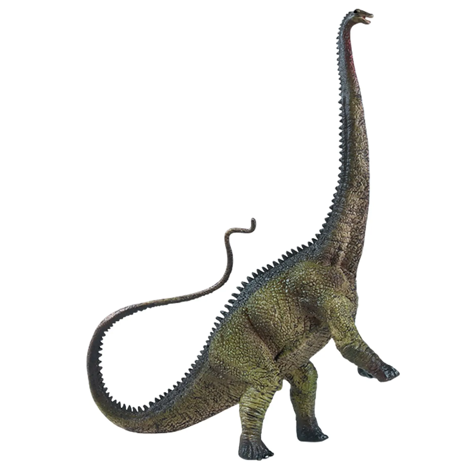Diplodocus Dinosaurs Figure Jurassic Diplodocus Simulation Solid PVC Model Toys Collection Dinosaurs Ornament For Kids 
Diplodocus Dinosaurs Figure Jurassic Diplodocus Simulation Solid PVC Model Toys Collection Dinosaurs Ornament For Kids